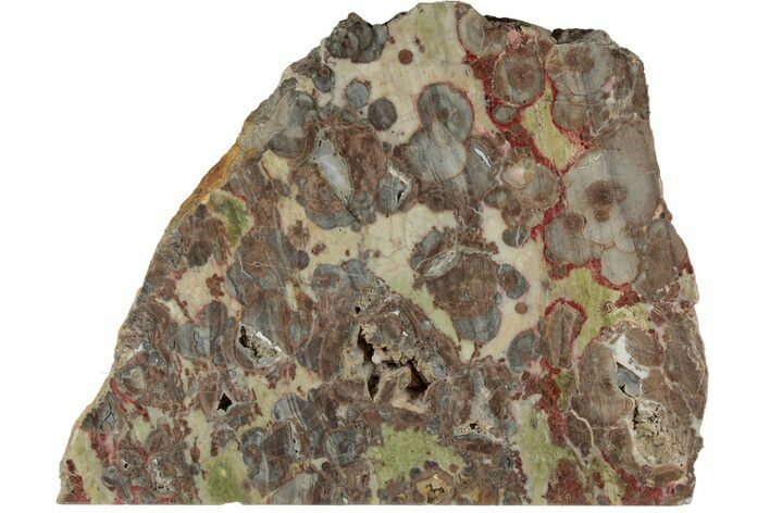 Free-Standing, Polished Mushroom Jasper - Arizona #184814